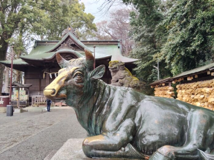 【東京の隠れ聖地】谷保天満宮の格式高きパワーとは? 関東最古の天神様で開運参拝