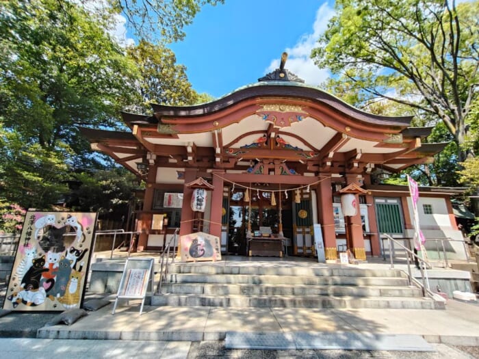 世界を魅了する下北沢を支えるパワースポット―北澤八幡神社と代沢稲荷神社を巡る開運散歩