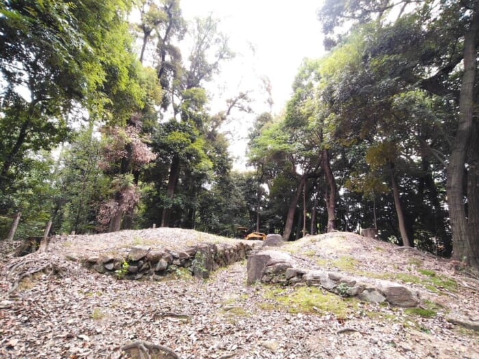 サッカー日本代表選手も参拝―白山宮のサッカー神社