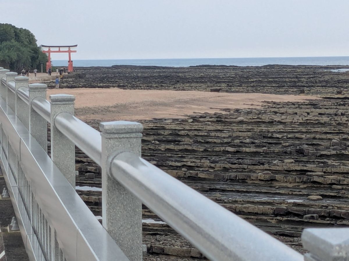 宮崎・青島エリアをサイクリング! 青島神社、マンゴー、宮崎牛など地元の魅力たっぷり!