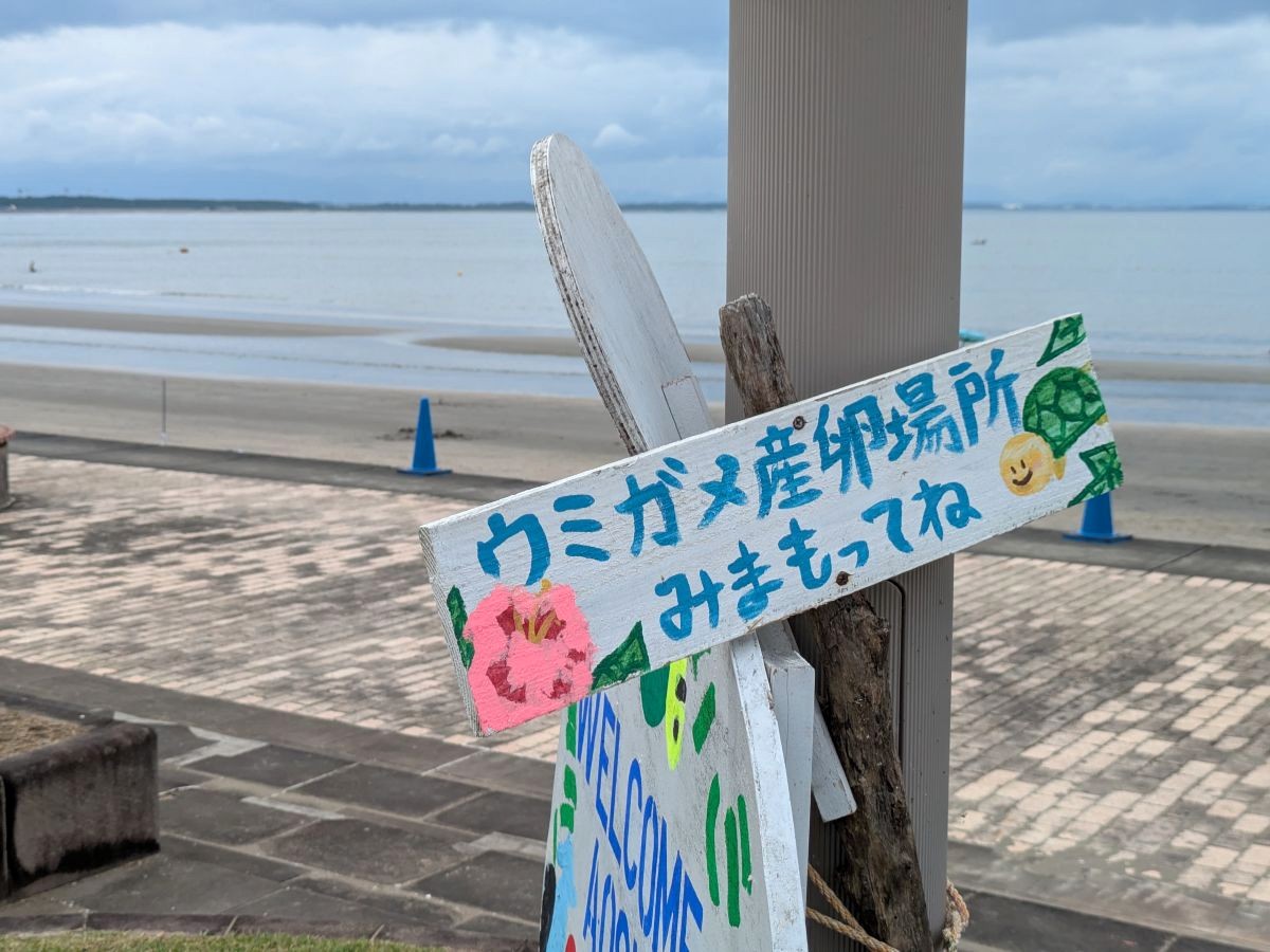 宮崎・青島エリアをサイクリング! 青島神社、マンゴー、宮崎牛など地元の魅力たっぷり!