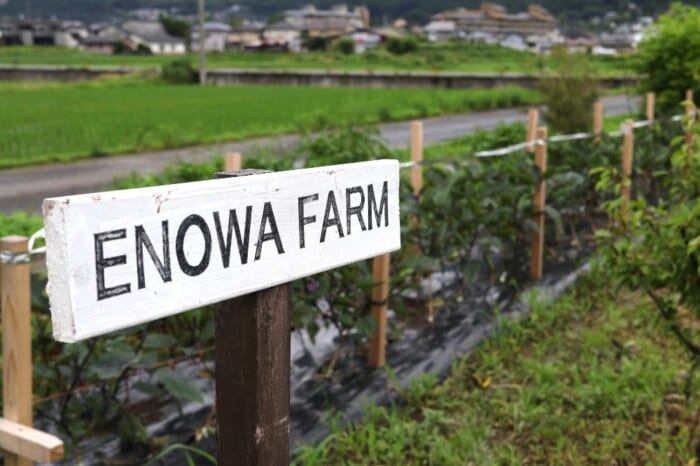 由布院で叶える極上の温泉ステイ。「由布院別邸 風の森」と「ENOWA YUFUIN」宿泊記