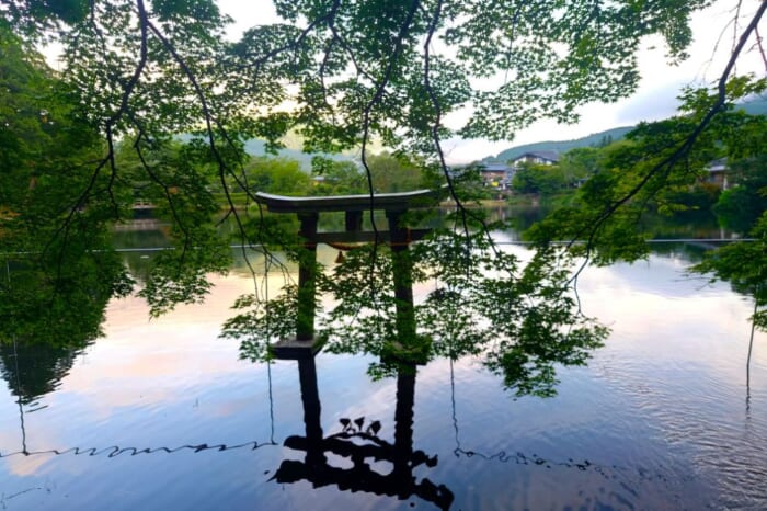 由布院で叶える極上の温泉ステイ。「由布院別邸 風の森」と「ENOWA YUFUIN」宿泊記