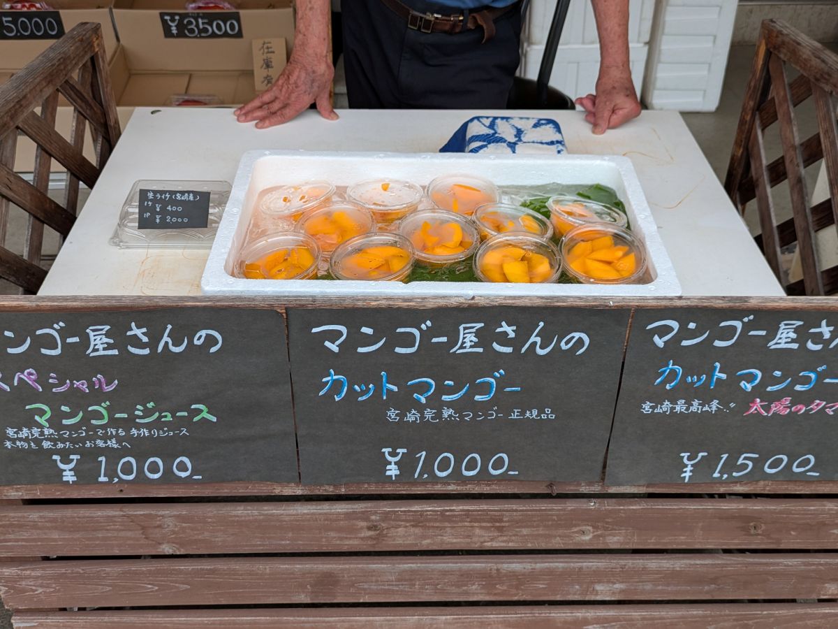 宮崎・青島エリアをサイクリング! 青島神社、マンゴー、宮崎牛など地元の魅力たっぷり!