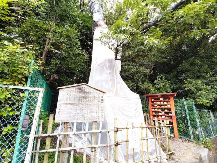 地下鉄で巡る「恋の三社めぐり」安倍晴明が暮らした名古屋の穴場パワースポット